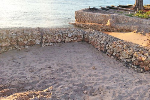Jambalya (70)